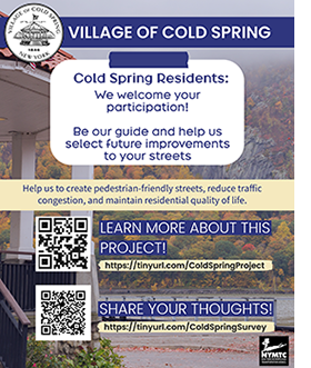 COLD SPRING Community Survey Flyer (1)638701389940402220